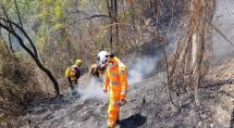 Fogo em mata ameaça residência em Betim