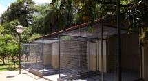Centro de Controle de Zoonoses de Betim ganha novo gatil