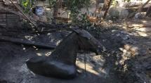 Cavalo é resgatado após cair em fossa de três metros de profundidade em Betim