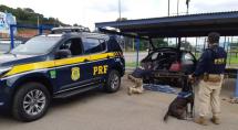 Cães farejadores da PRF encontram 24 quilos de haxixe dentro de carro, em Betim