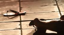Número de assassinatos diminui em outubro 