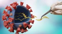 Covid: o que se sabe sobre nova variante detectada na África do Sul