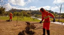 Prefeitura de Betim promove serviços de capina e roçada em todo o município