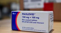 Anvisa aprova venda de Paxlovid para tratar Covid-19