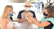 Betim terá Dia de Adoção de Cães e Gatos na quinta-feira (27)