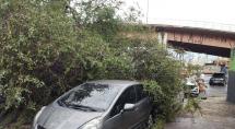 Forte chuva desta terça-feira derrubou árvores, muro e poste em Betim