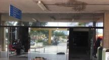 Cães abandonados na porta do Hospital Regional podem transmitir doenças