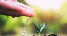 Junho Verde: Prefeitura de Betim dedica mês à conscientização ambiental