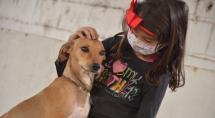 Sepa orienta sobre cuidados com os pets nas férias