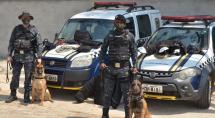Guarda Municipal de Betim treina cães para auxílio em operações de segurança