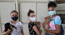Prefeitura de Betim realiza nova Feira de Adoção de Cães e Gatos