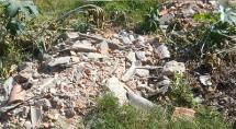 Animais peçonhentos saem de lote vago e invadem casas no Cruzeiro do Sul