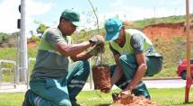 Prefeitura de Betim inicia plantio de mais de 40 mudas de árvores no Parque Ecológico Matinha do Ingá
