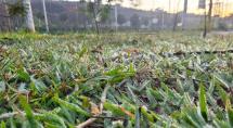 Inverno começa nesta quarta (21)