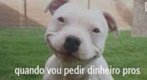 Betinenses aderem ao Secret e revelam segredos 