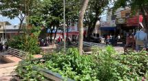 Praça Tiradentes está mais verde