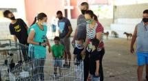 Sábado é dia de adoção de cães e gatos em Betim