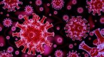 Boletim epidemiológico Covid-19