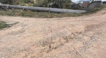 Homem é morto com tiros no rosto, arrastado e abandonado em matagal, em Betim