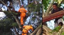 Homem faz ‘casa’ em cima de árvore no Centro de Betim e é resgatado pelos Bombeiros