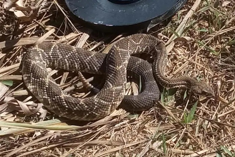 64-08-2022
