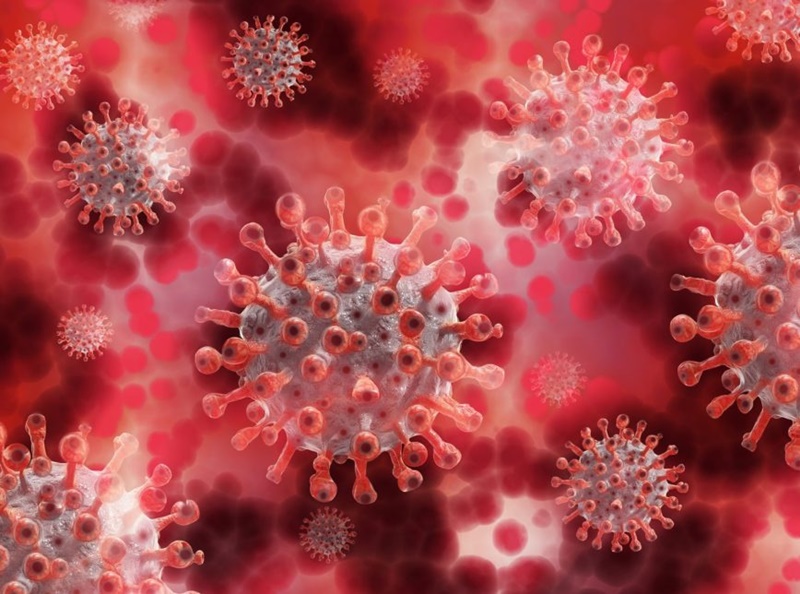 coronavirus2021b