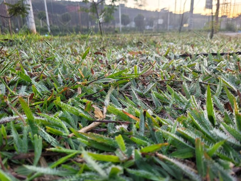 climabo002