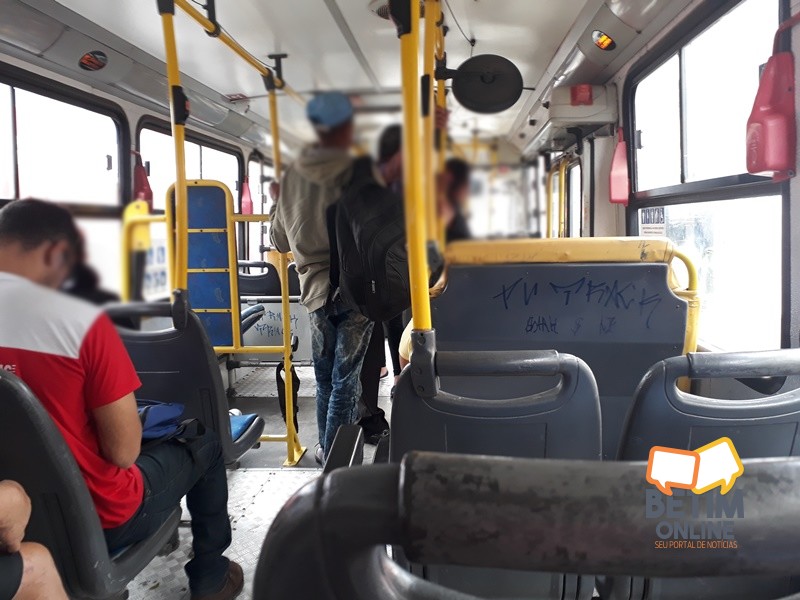 betimonline-transporte002