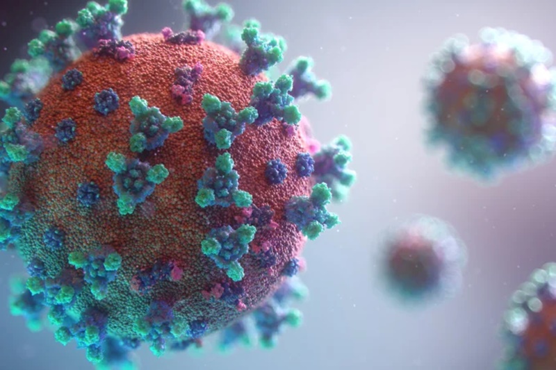 coronavirus004