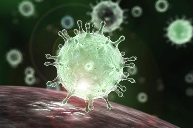 coronavirus005