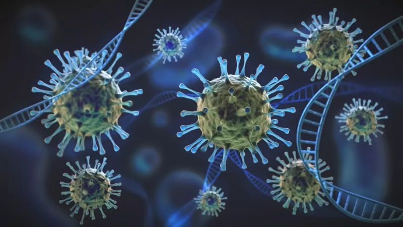 coronavirus008