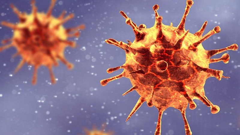 coronavirus003