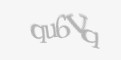Código de segurança