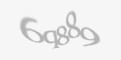 Código de segurança