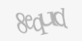 Código de segurança
